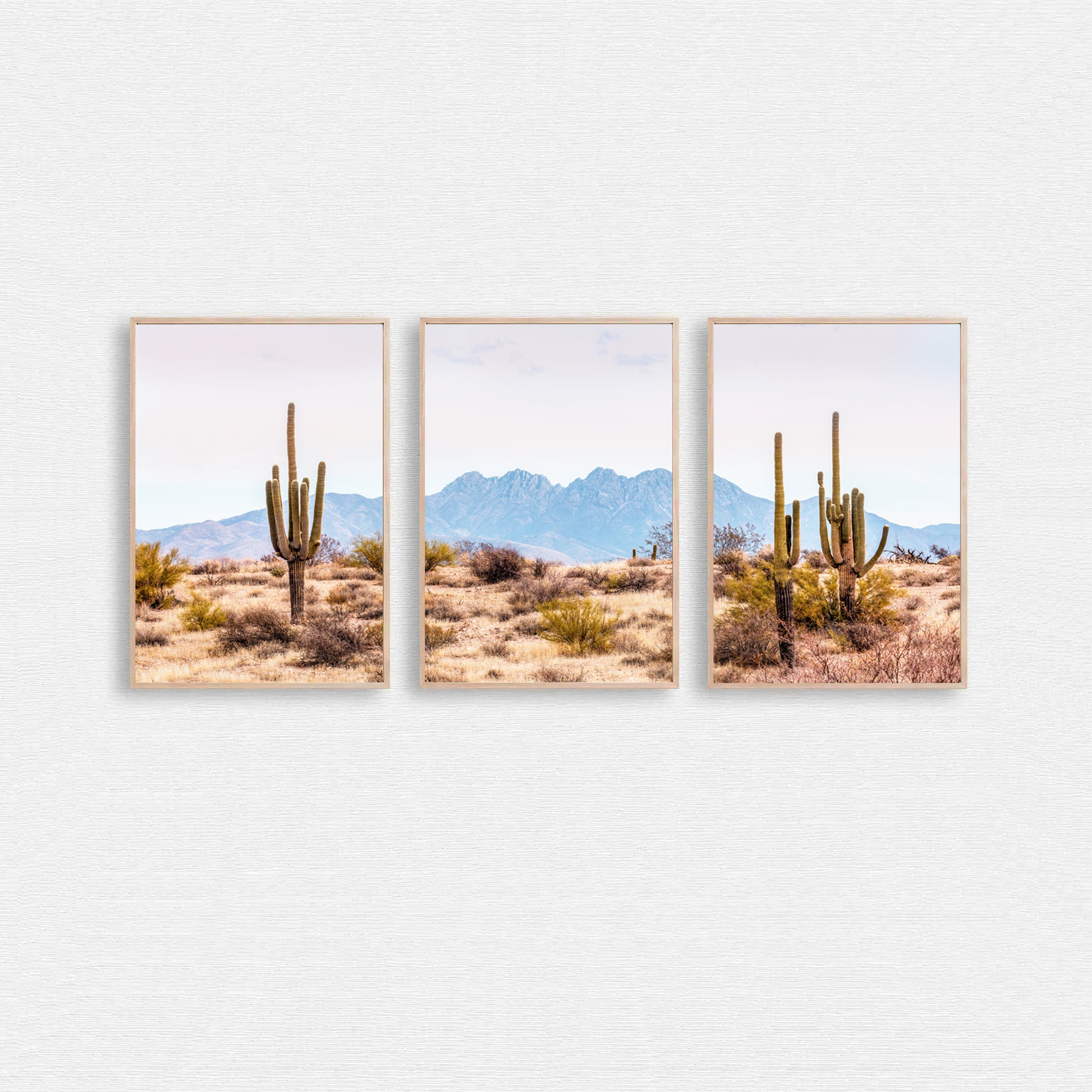 Desert cactus triptych.