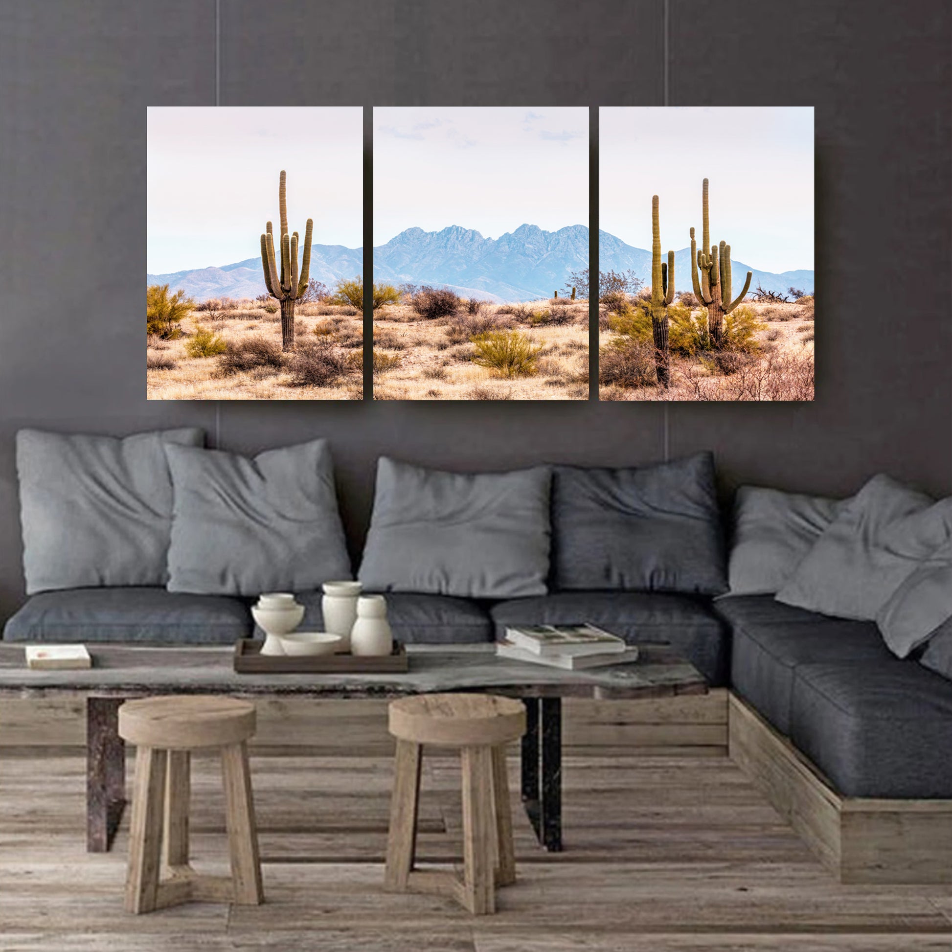 Cactus valley 3 piece stretched canvas.