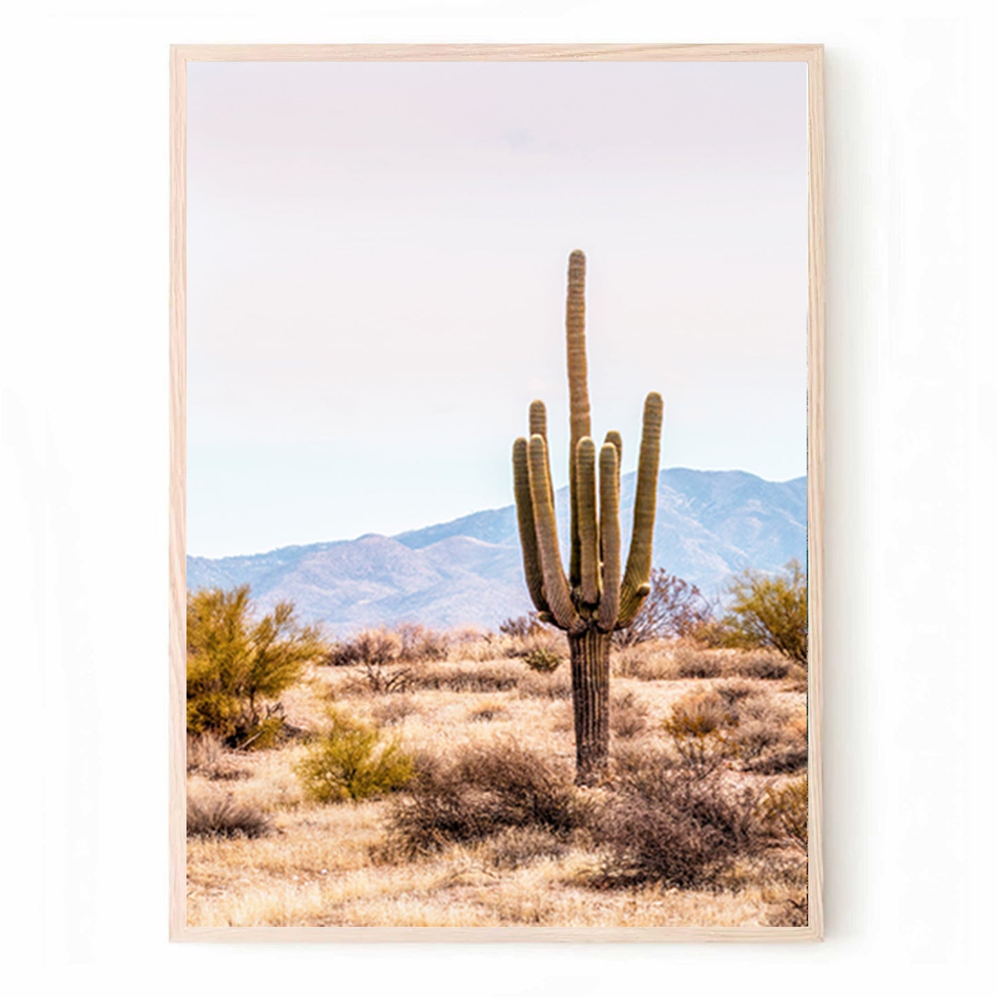 Décoration murale en 3 parties représentant la nature et la vallée des cactus | Triptyque de paysages désertiques