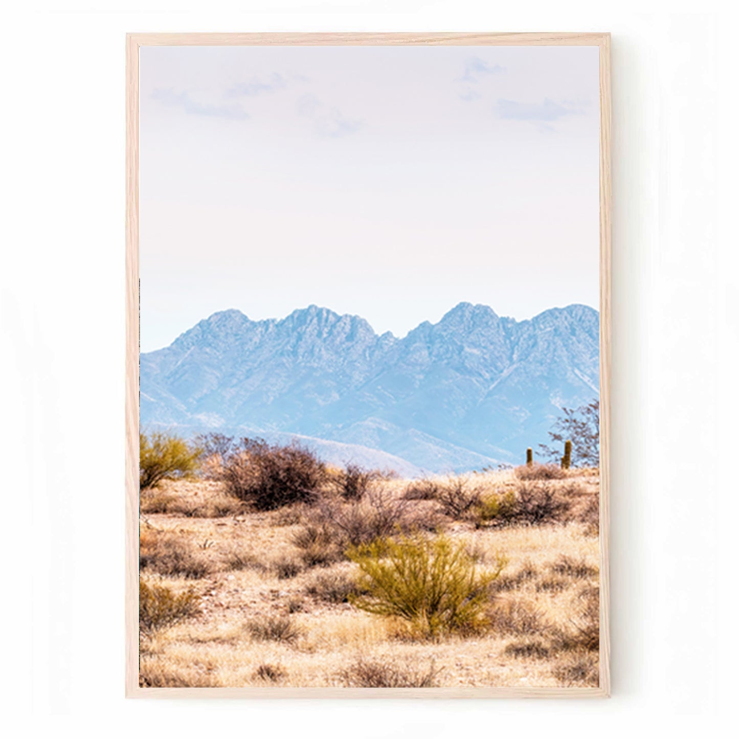 Natur 3-teiliges Wandbild mit Kaktustal | Wüstenlandschaft Triptychon