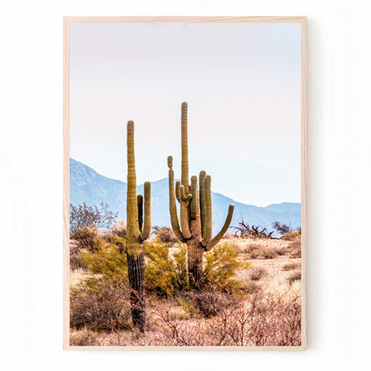 Décoration murale en 3 parties représentant la nature et la vallée des cactus | Triptyque de paysages désertiques