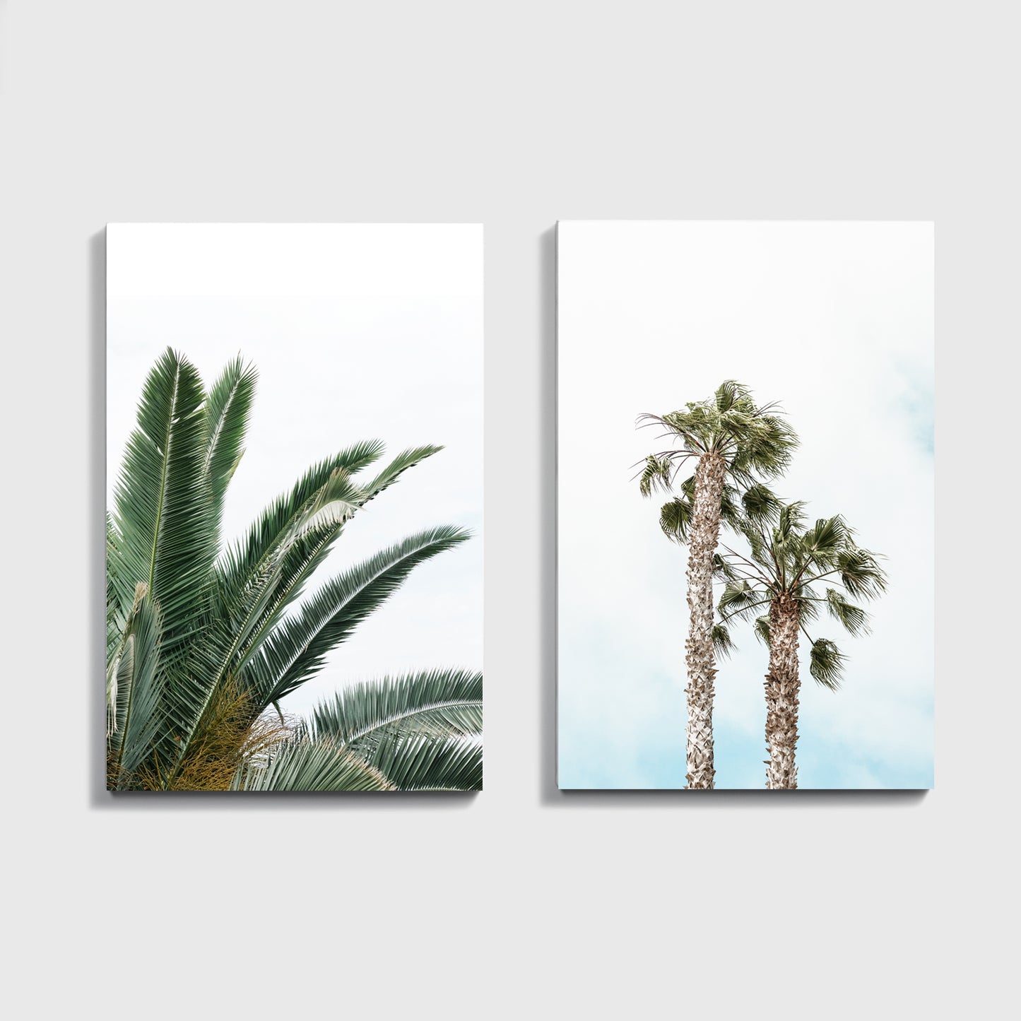 Palm Tree Poster Set of 2 Piece, Tropical Plant Leaves, Beach Wall Art