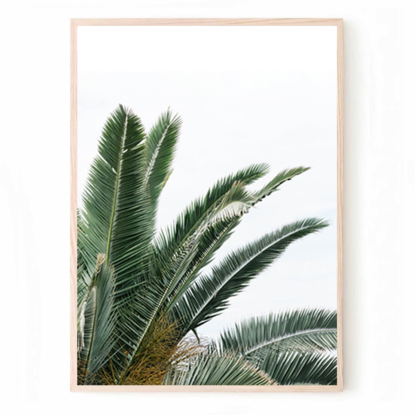 Tropical Plant Leaves 3 Piece Wall Art, Beach Poster, Palm Tree Wall Art Set, Ocean Wave Coastal Prints