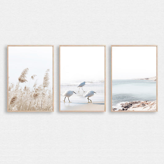 Coastal 3 Piece Wall Art with Gulls, Waves and Palma Grass | Neutral Colors Coastal Triptych