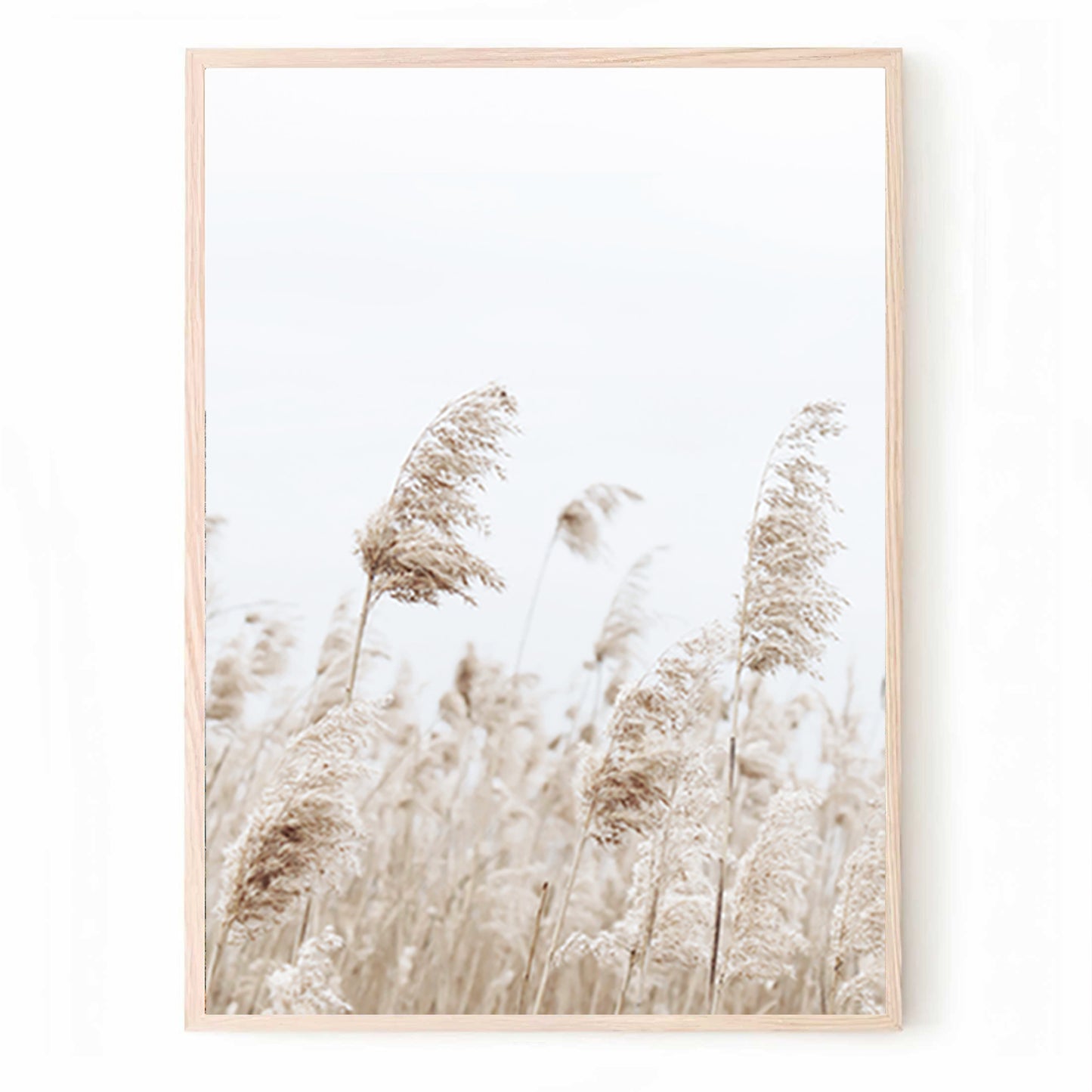 Coastal 3 Piece Wall Art with Gulls, Waves and Palma Grass | Neutral Colors Coastal Triptych