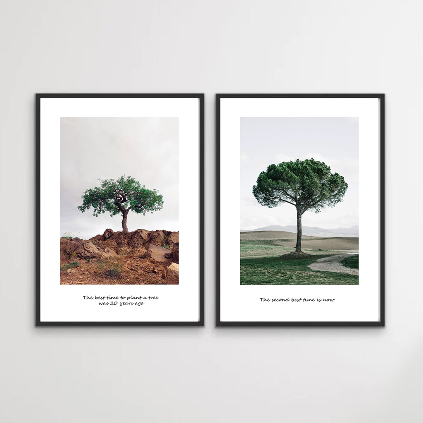 Two tree poster set in defense of nature.