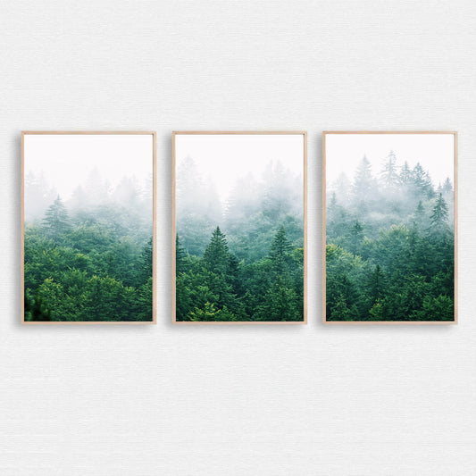 Morning forest panorama in 3 piece.