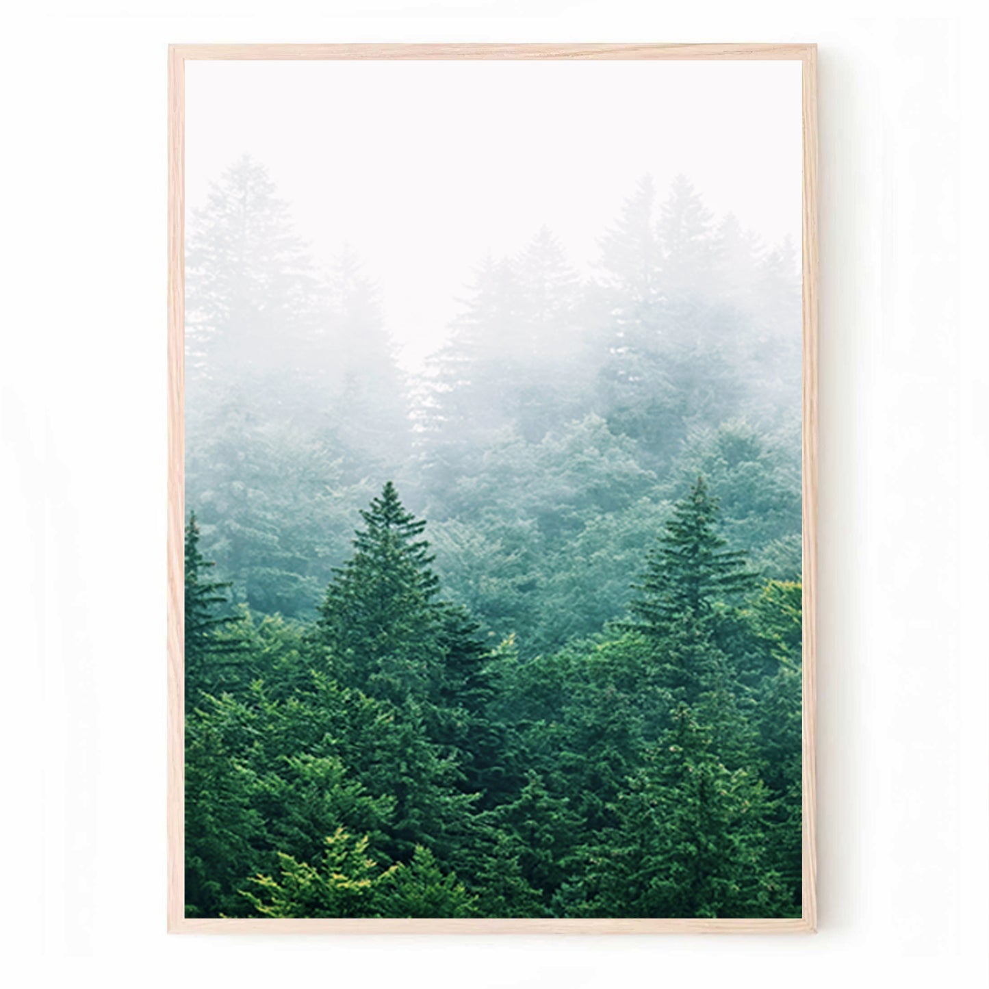 Morning forest print in woos color frame.
