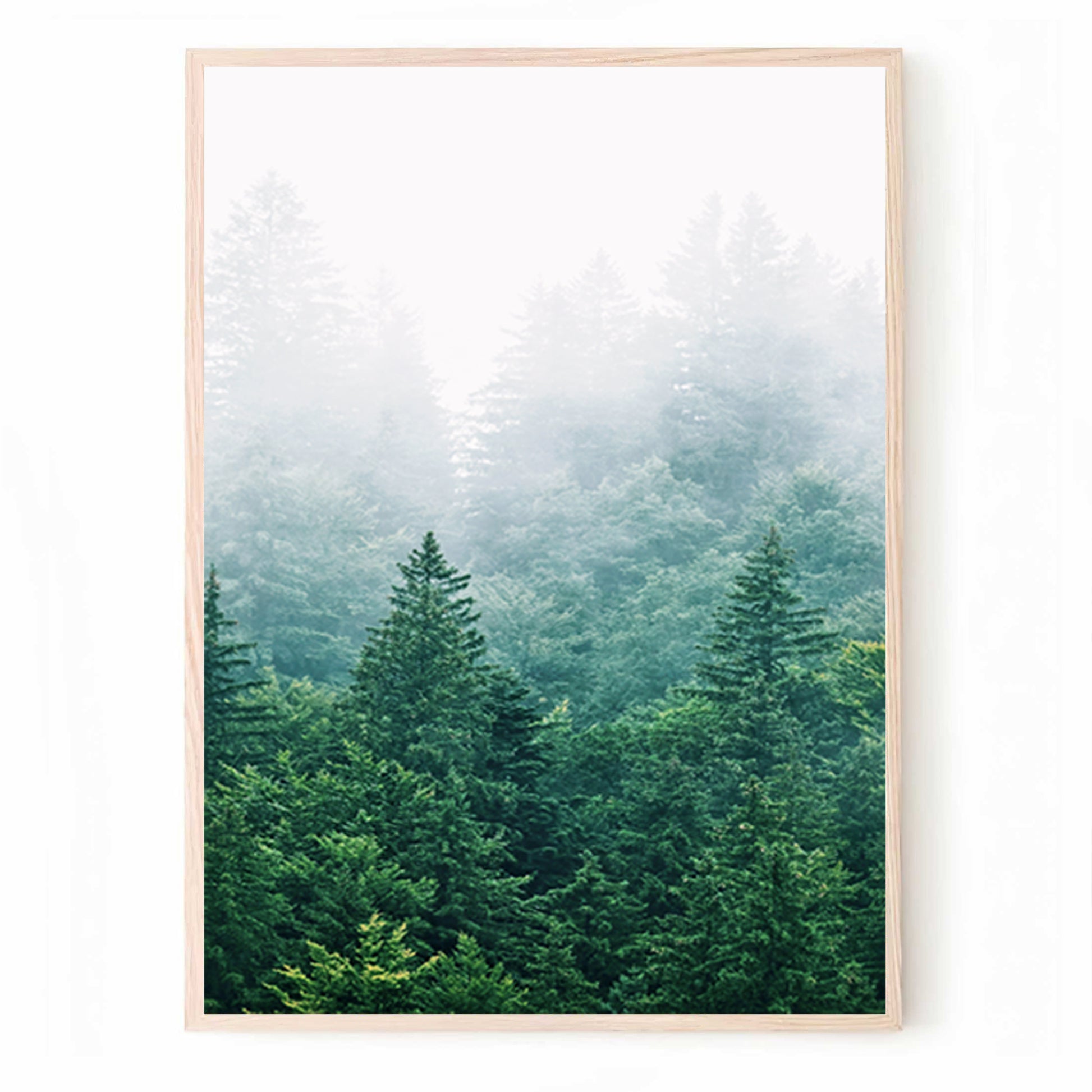 Morning forest print in woos color frame.