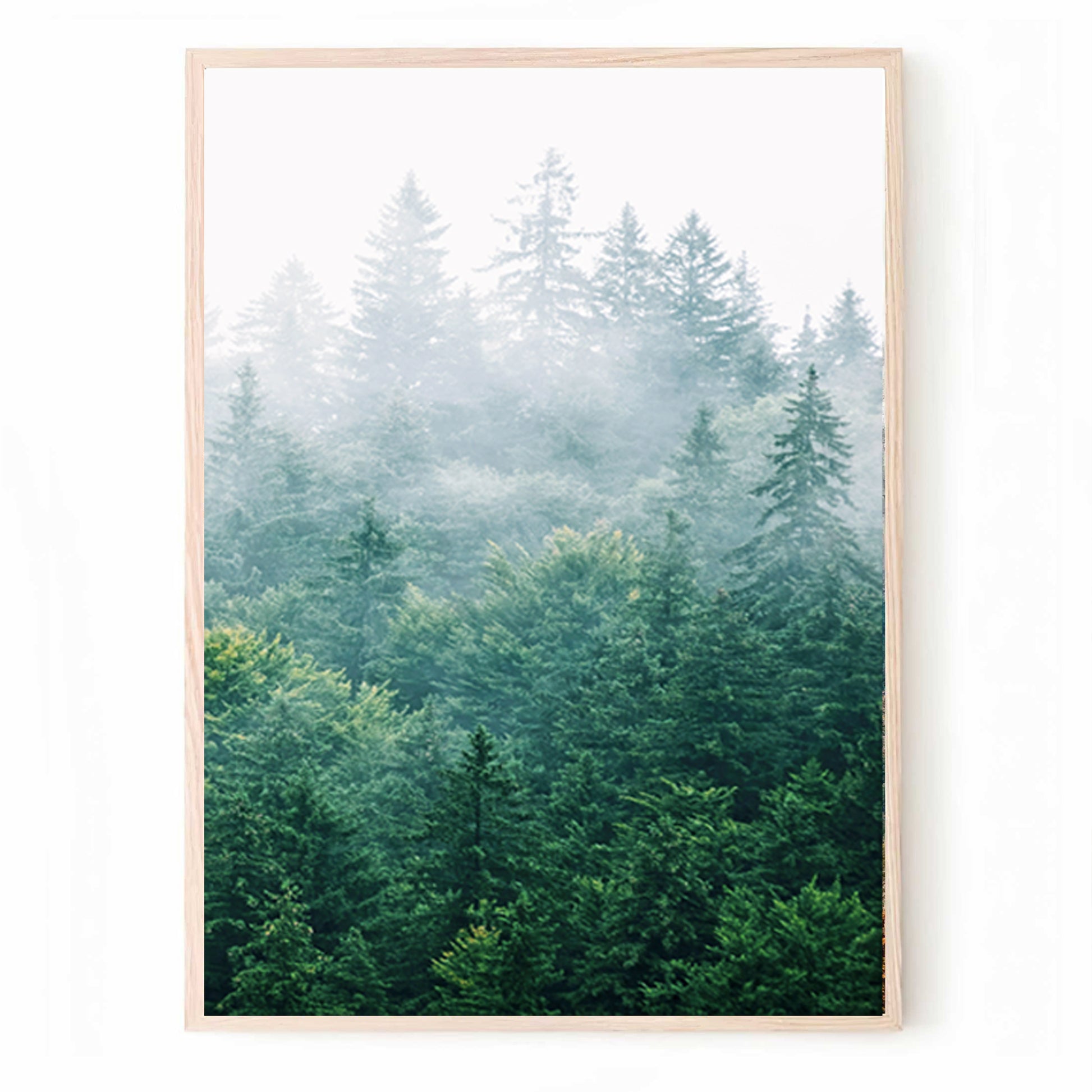 Morning forest print in woos color frame.