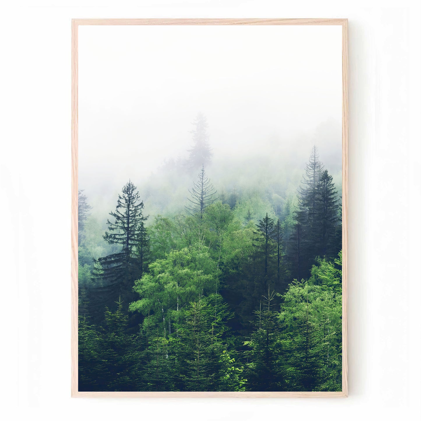 Green Forest Panorama in 3 Piece | Foggy Forest Landscape Triptych Art