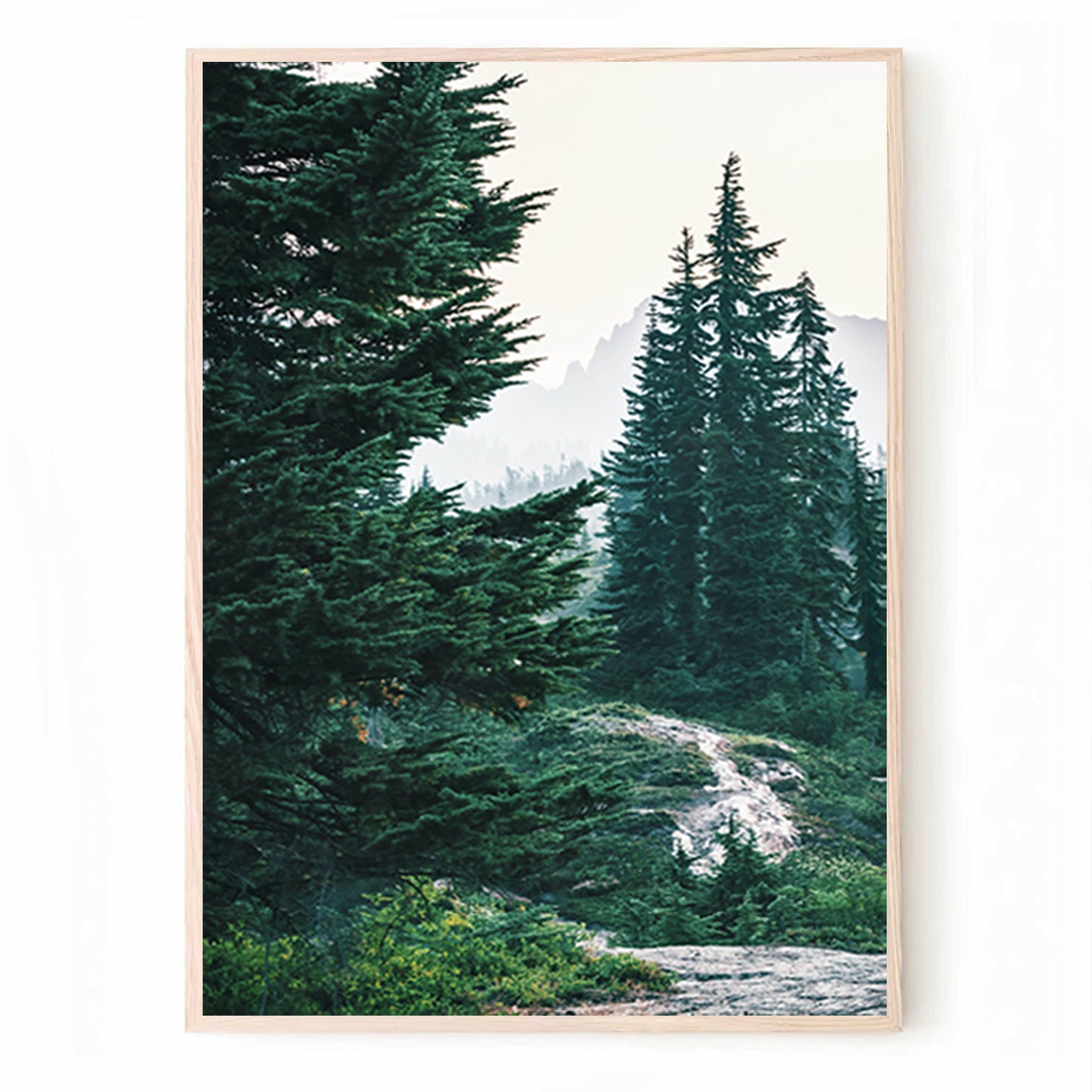 Foggy Forest Scenery 3 Piece Wall Art | Nordic Forest Sunrise Triptych