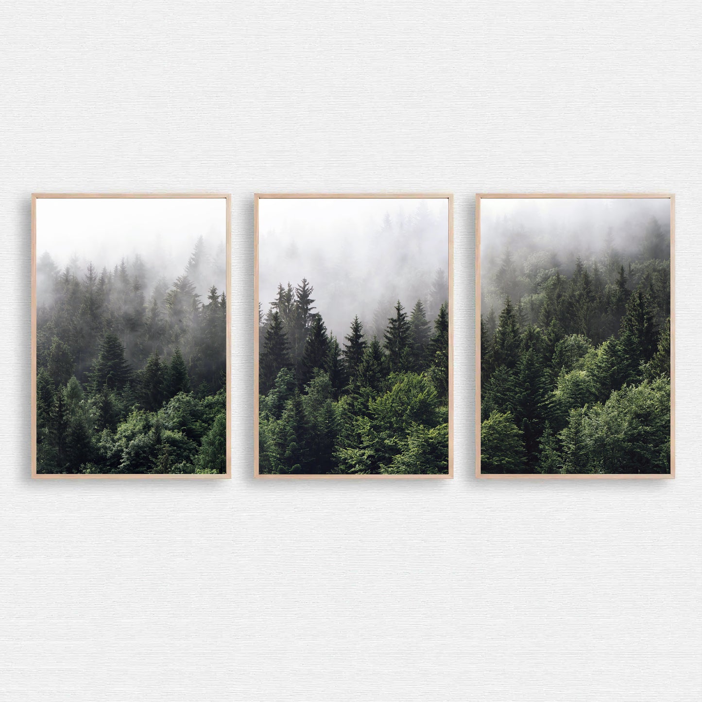 Foggy forest 3 piece wall art.