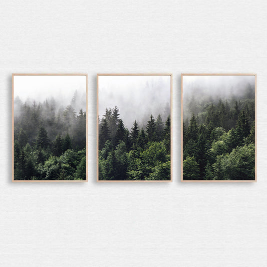 Foggy forest 3 piece wall art.