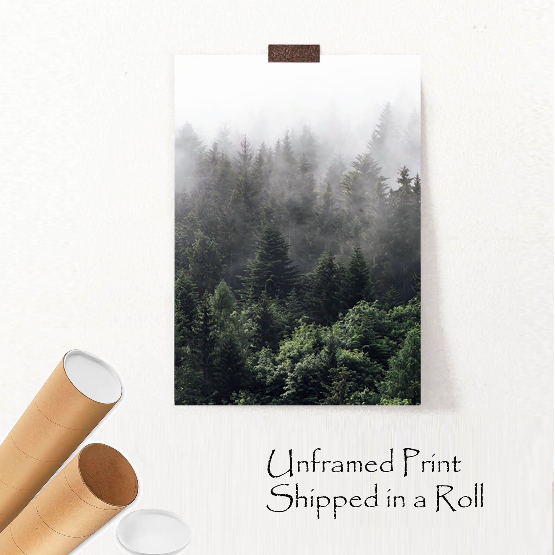 Unframed forest print.