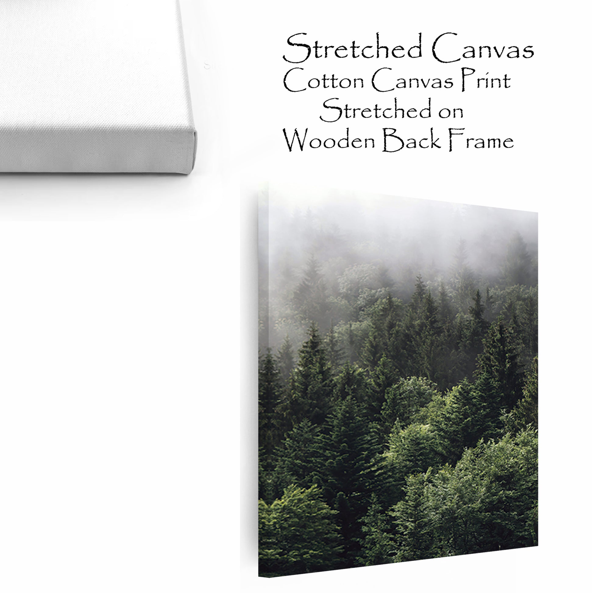 Forest canvas print.