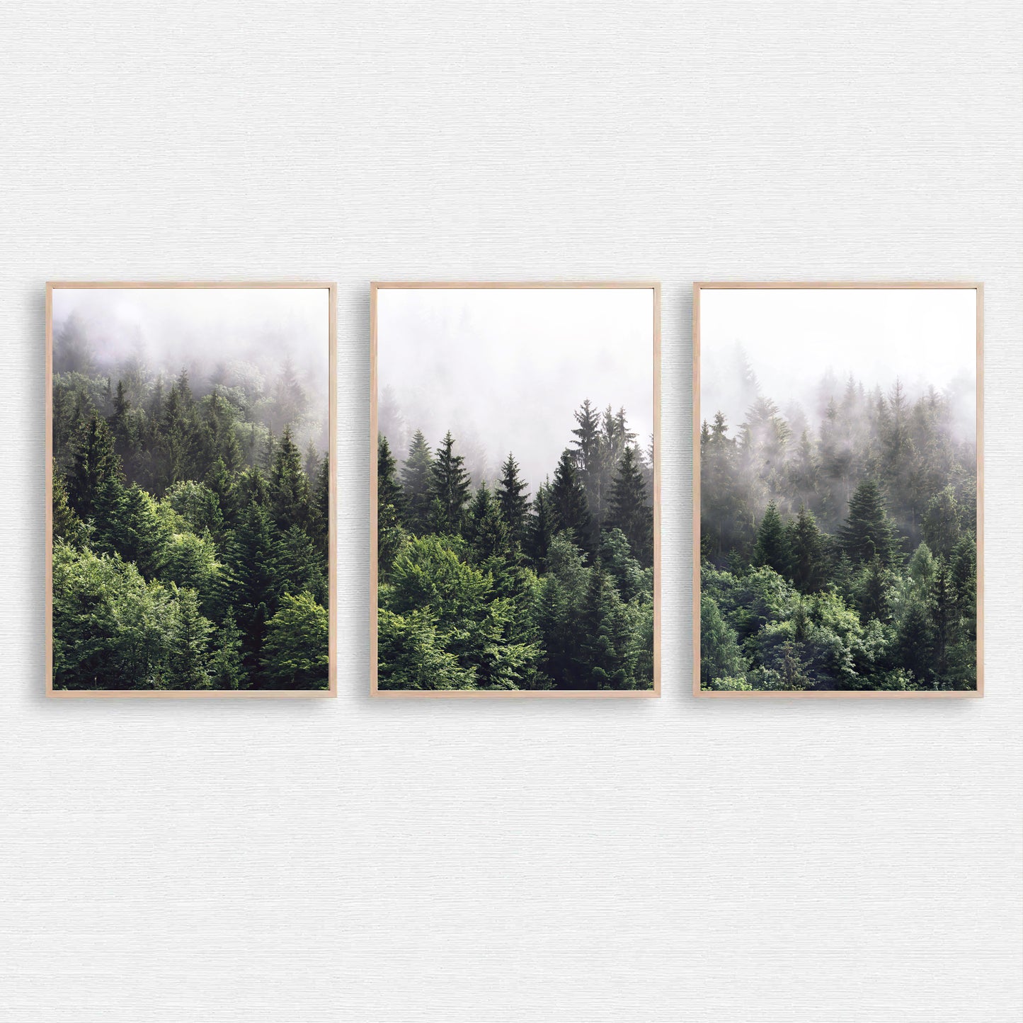 Foggy forest triptych.