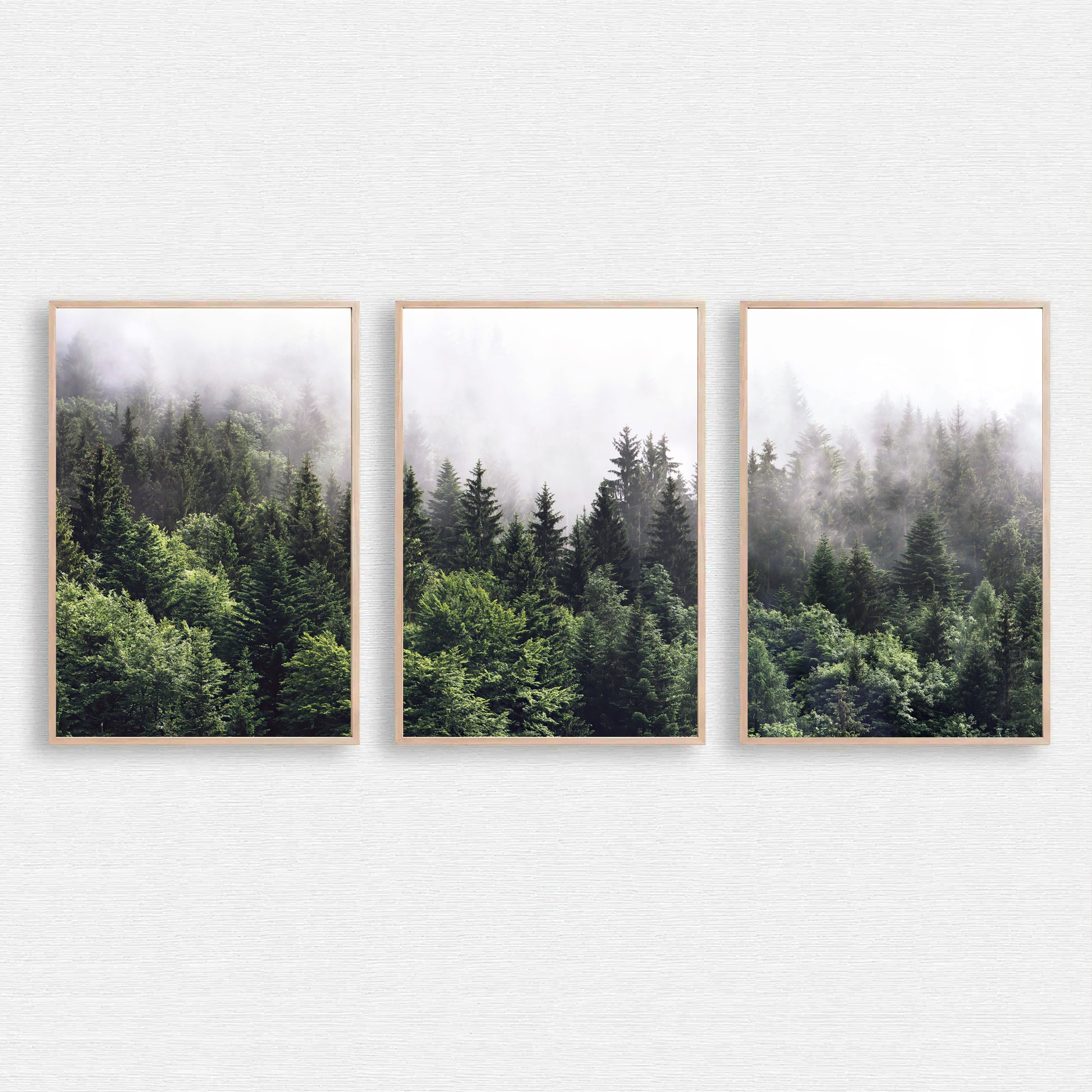 Foggy forest triptych.