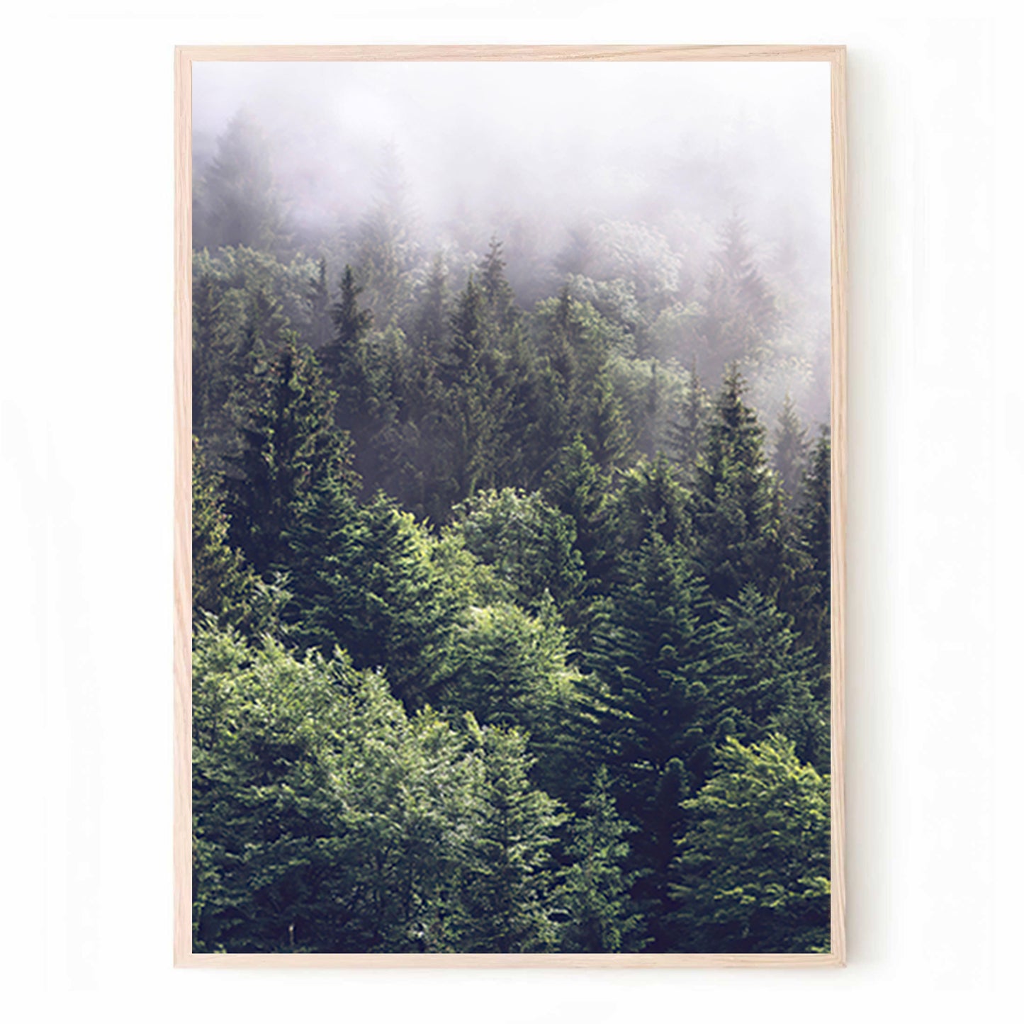 Misty Forest 3 Piece Wall Art | Foggy Forest Nature Landscape Triptych