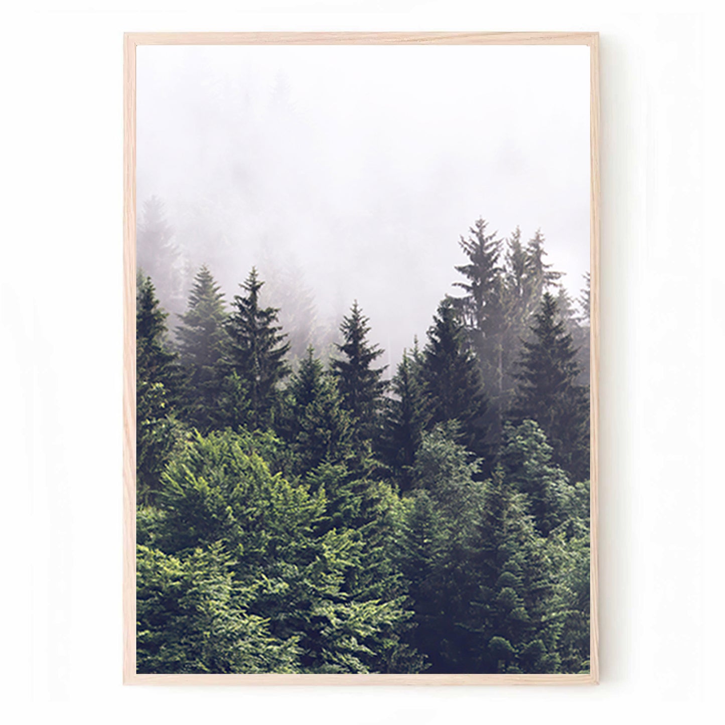 Misty Forest 3 Piece Wall Art | Foggy Forest Nature Landscape Triptych