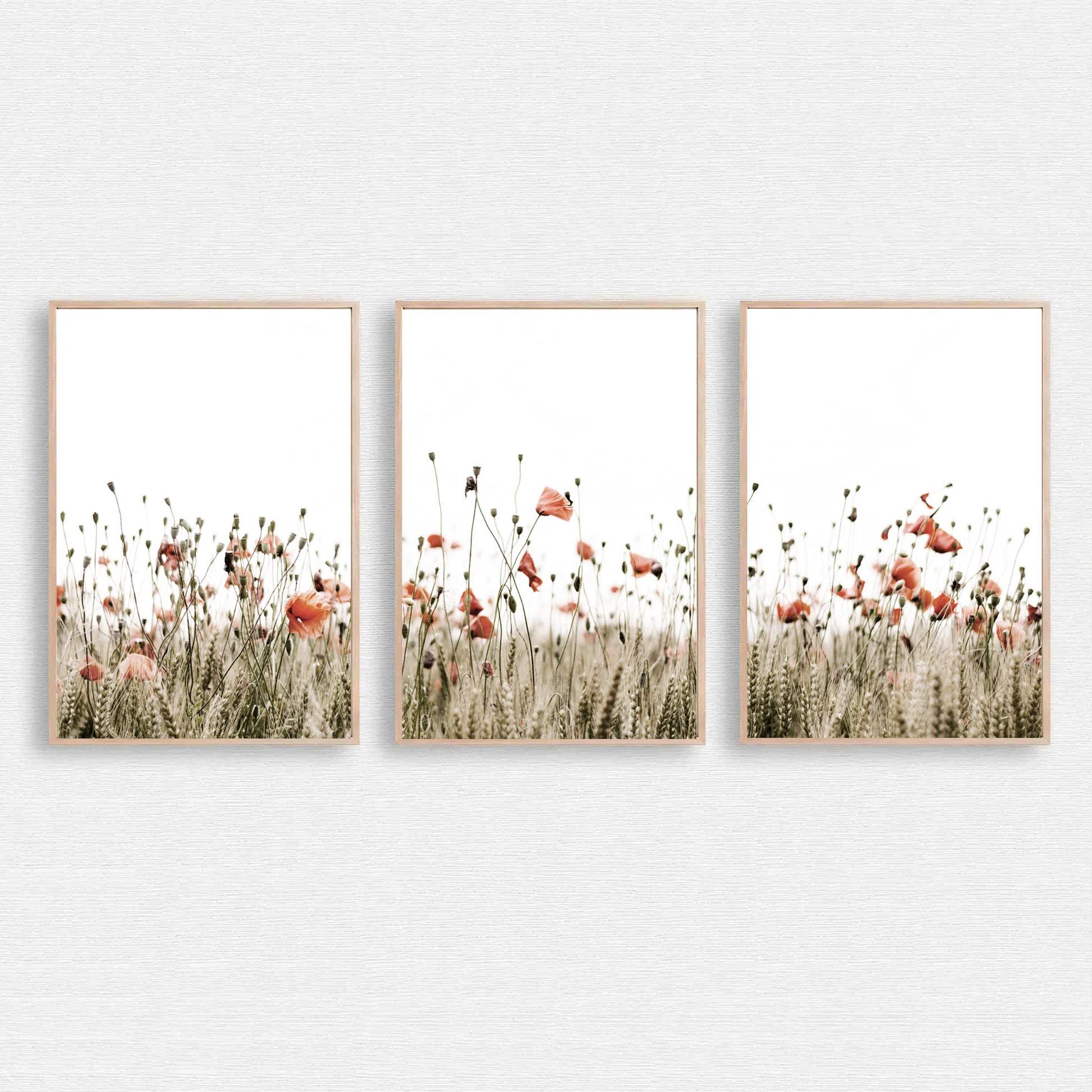 Poppy field wall art.