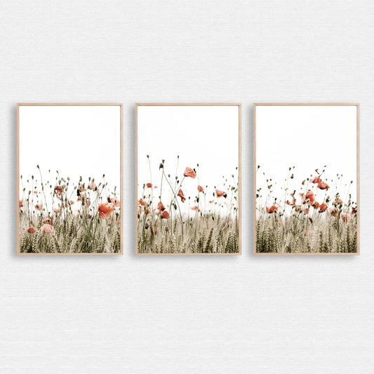 Poppy field wall art.