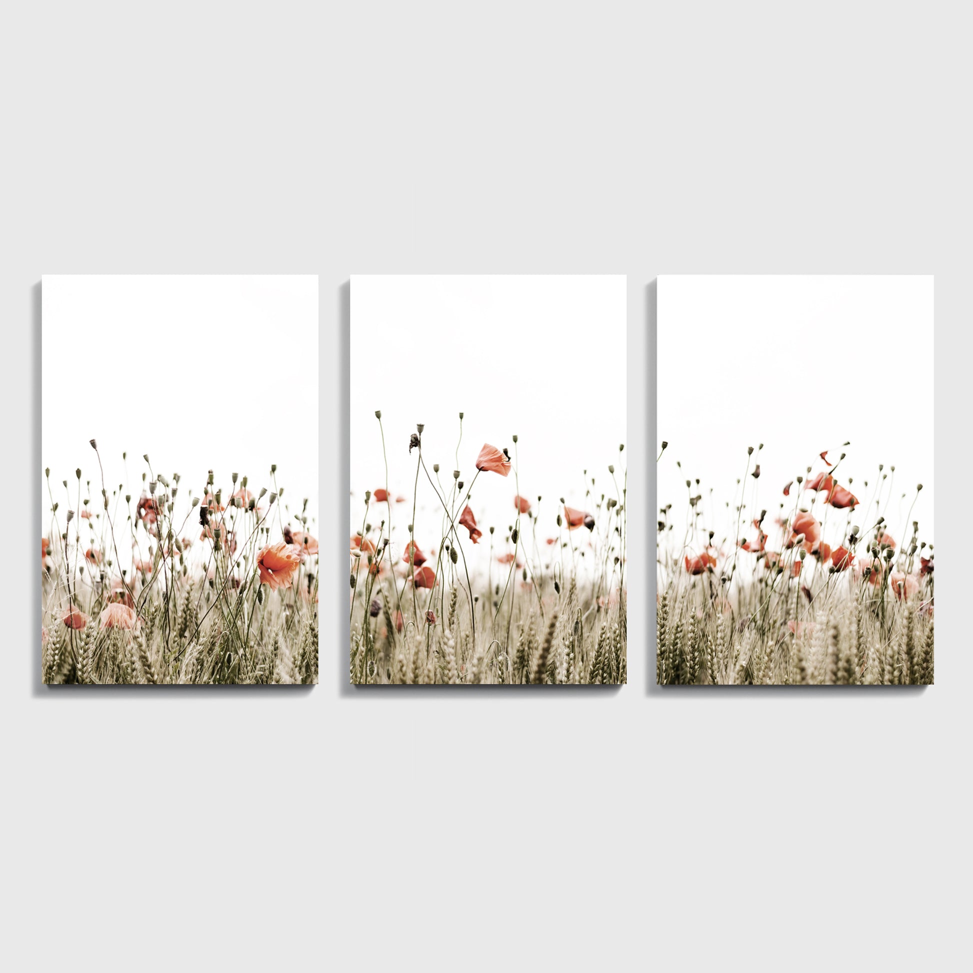 Landscape with flowers canvas prints.