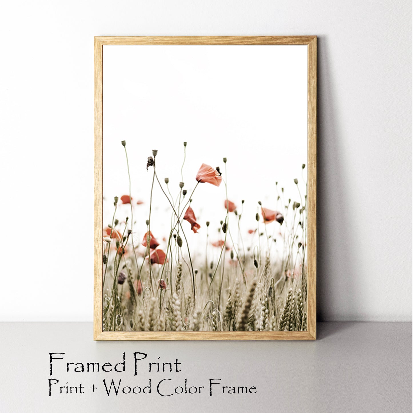 Poppy framed wall art.