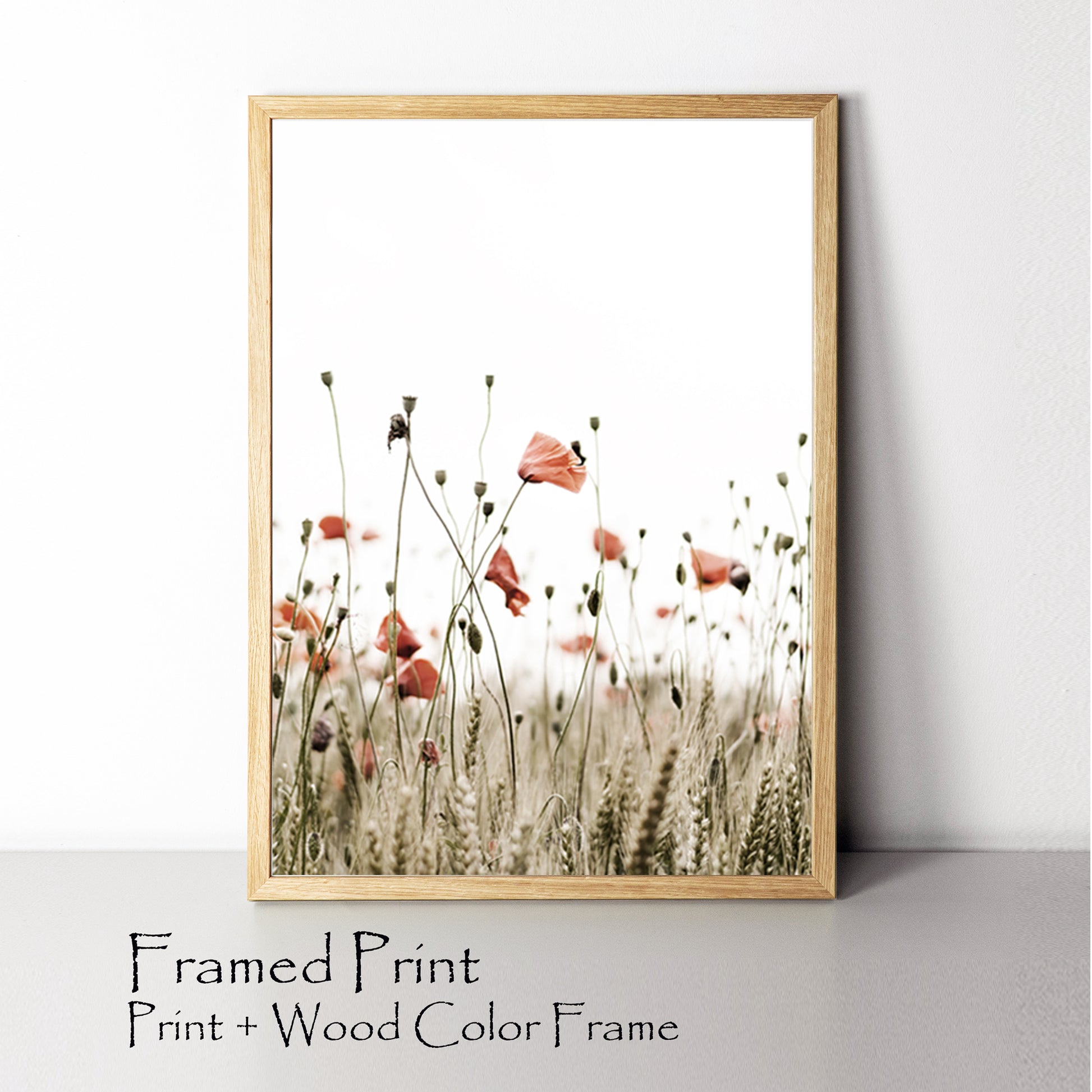 Poppy framed wall art.