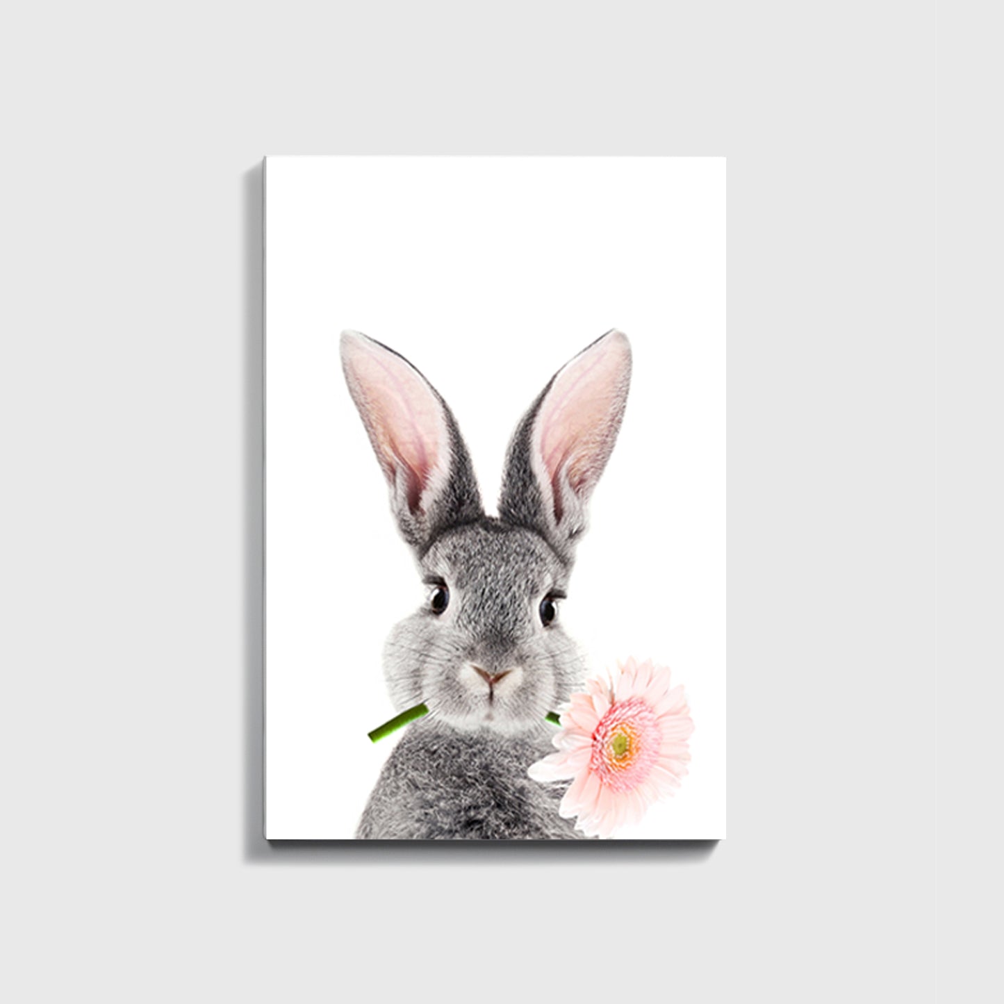 Bunny canvas print.