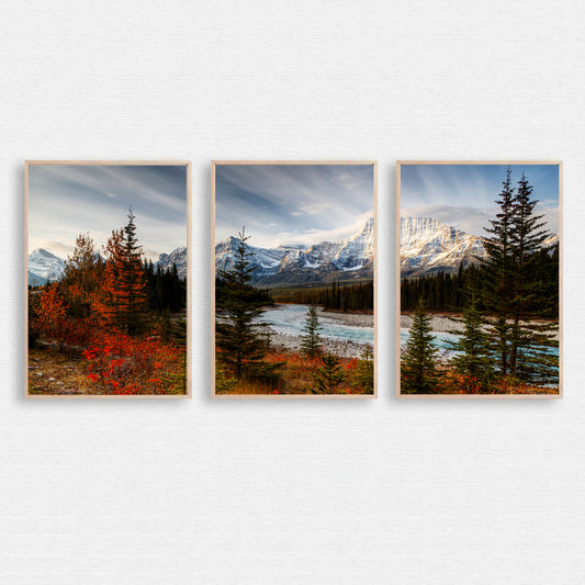 Autumn landscape with mountain river.