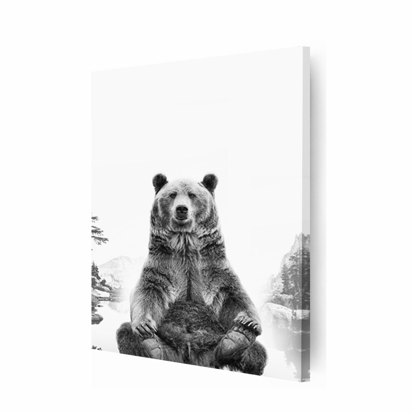 Bear black white canvas print.