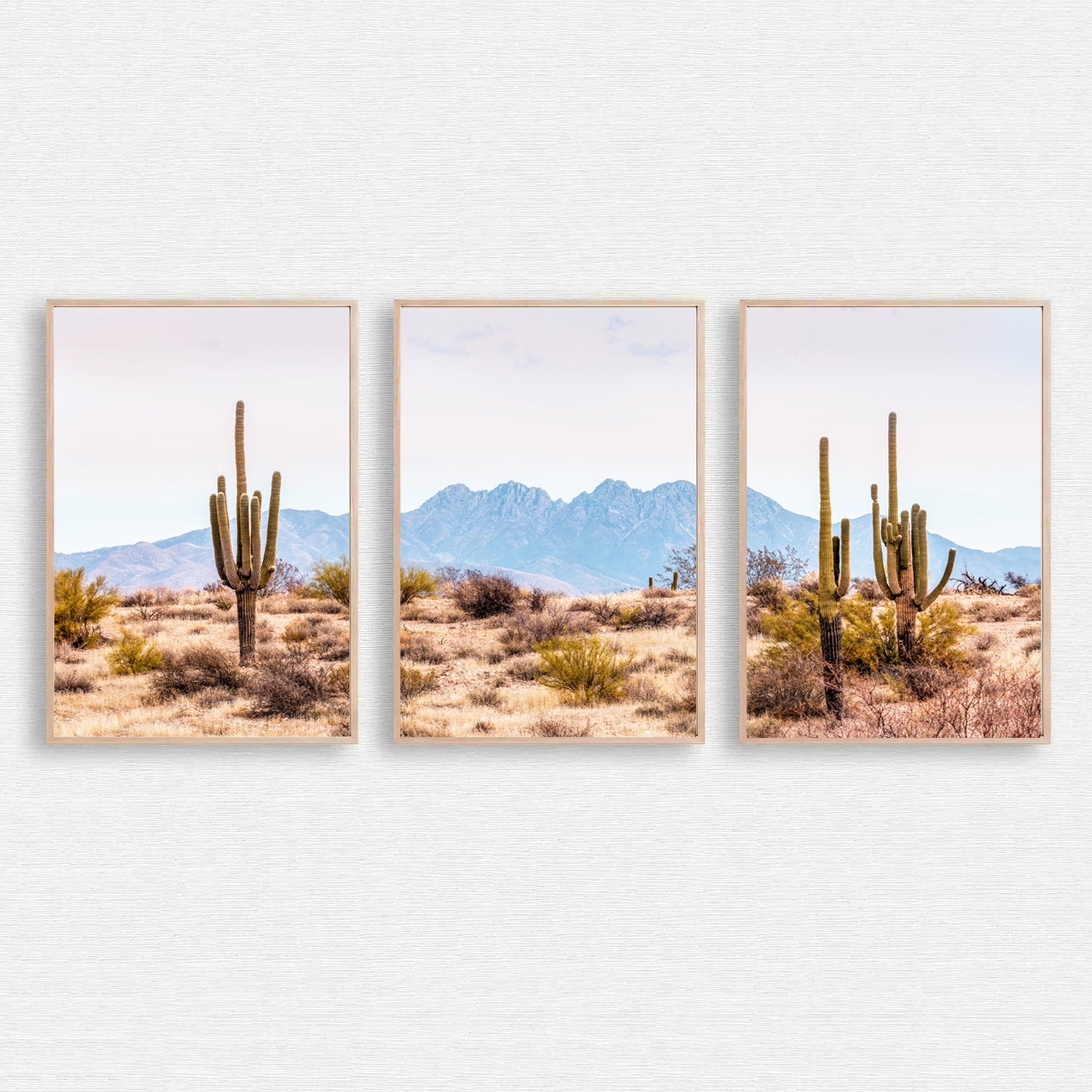 Desert 3 piece wall art.