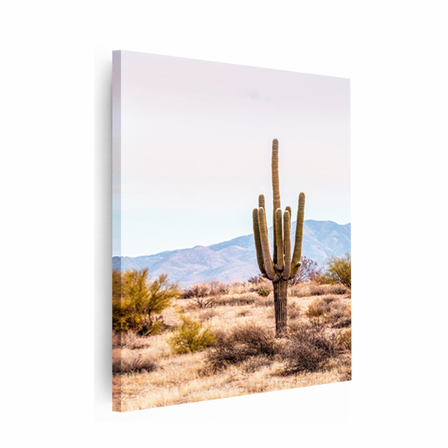 Stretched canvas print with cactus.