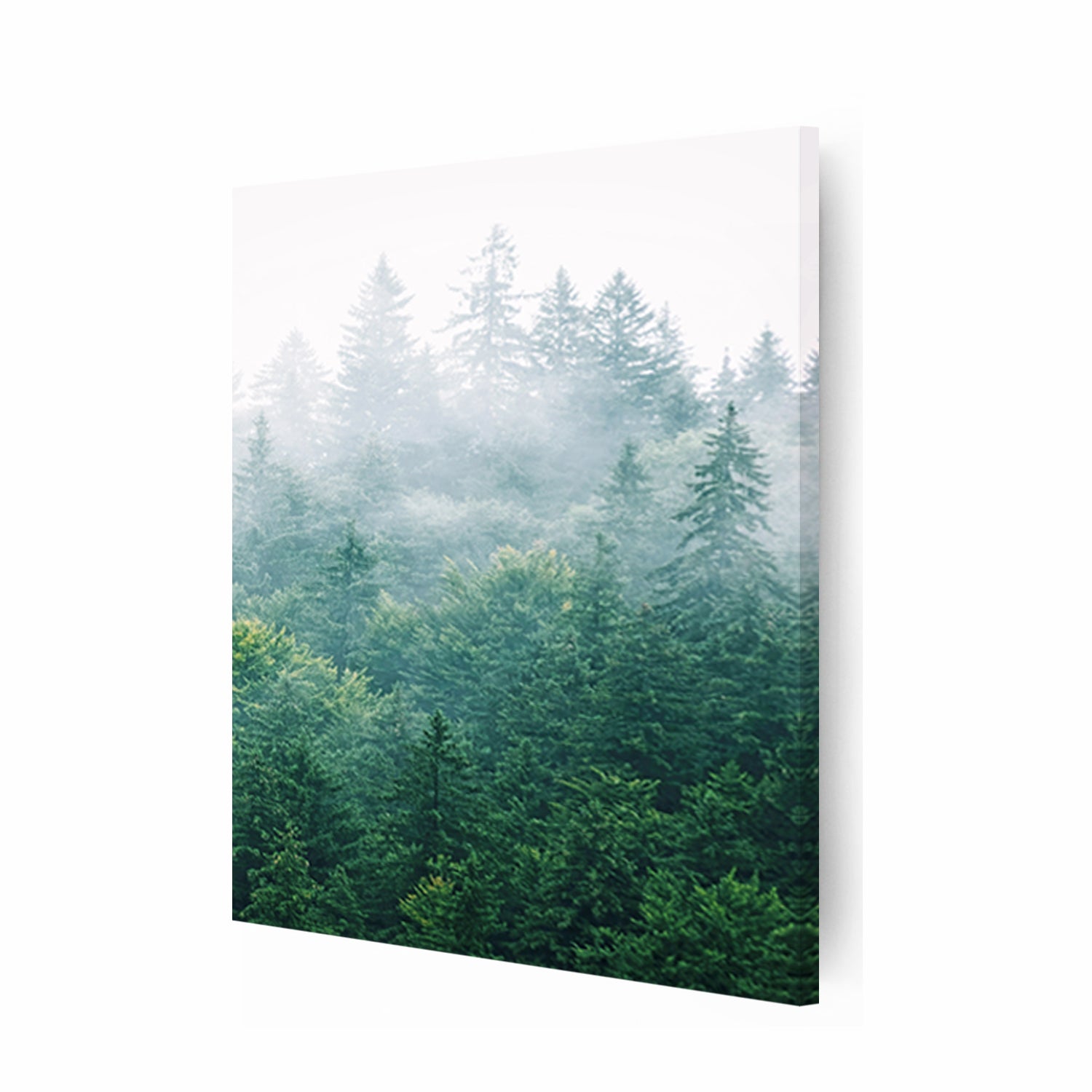 Stretched canvas with morning forest.