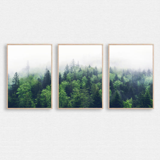 Foggy forest panorama in 3 piece.