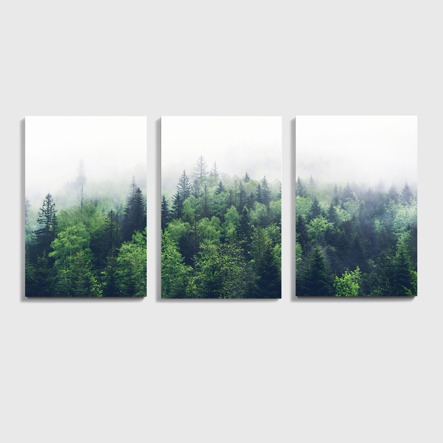 Stretched canvas 3 panel with green forest panorama.