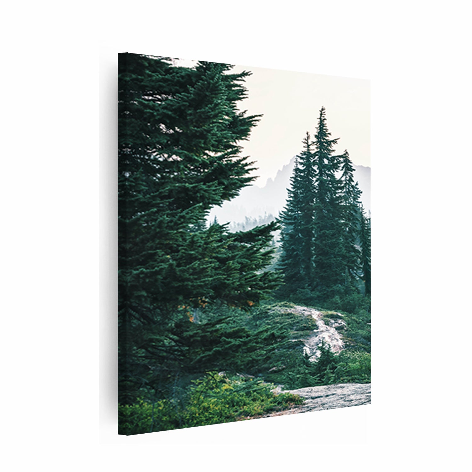 Nature canvas print.