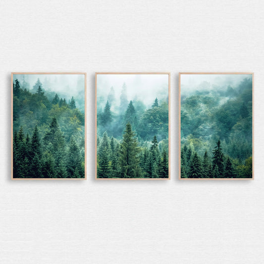 Panorama of green forest in wood color frames.