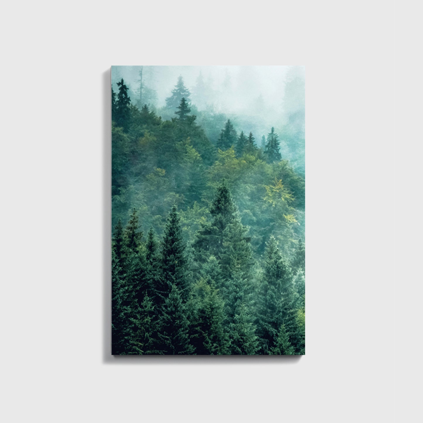 Forest canvas print.
