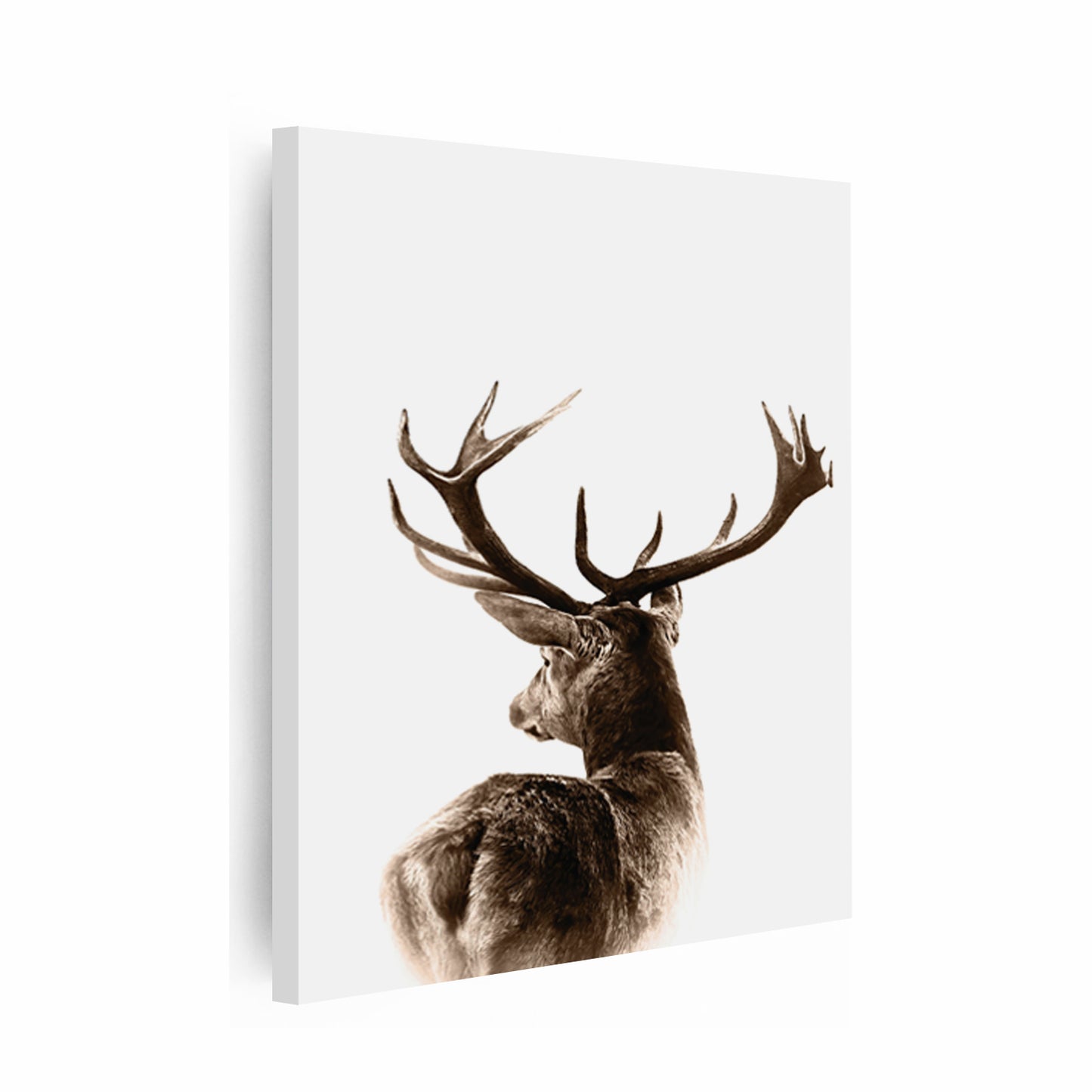 Deer canvas wall art.