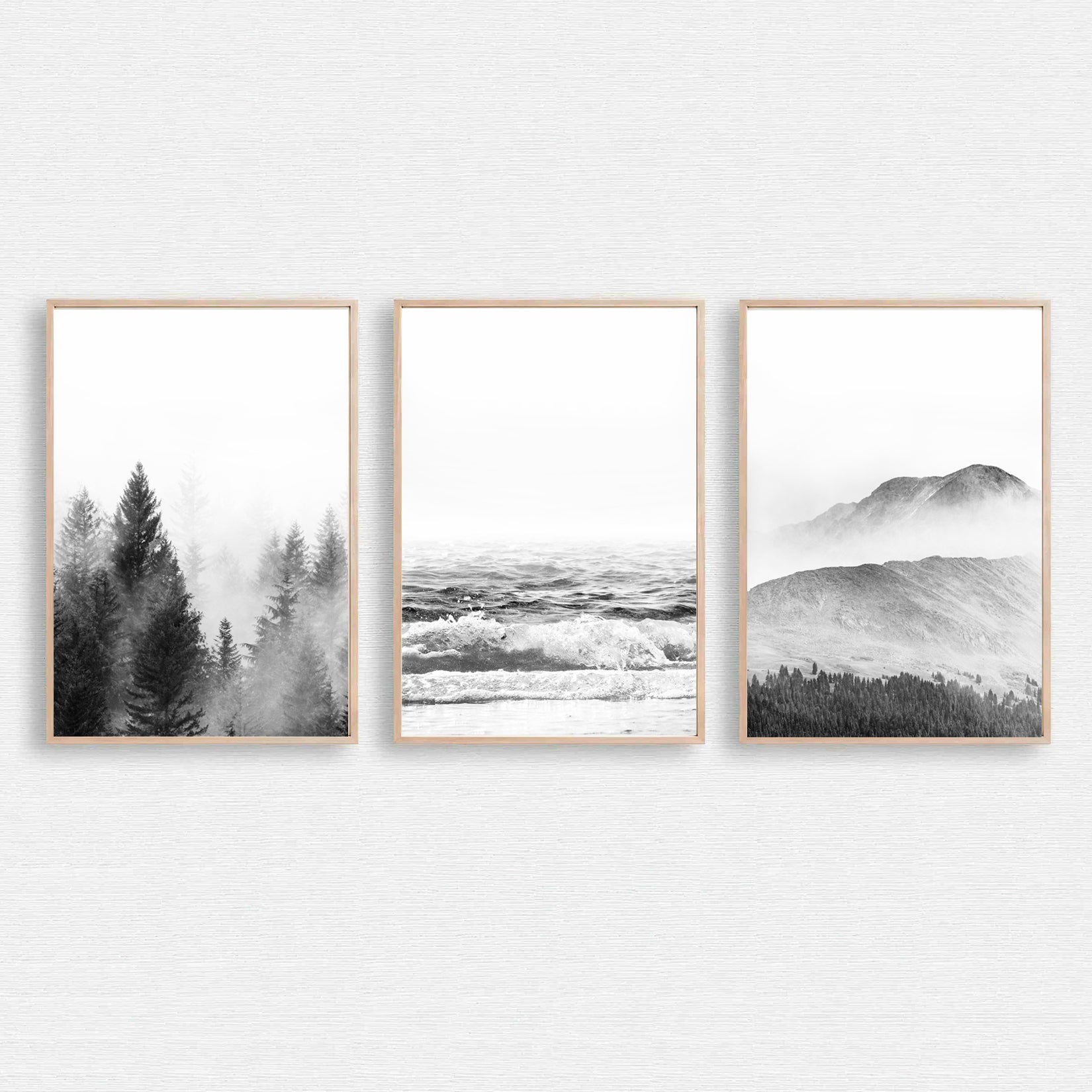 Scandinavian wall art of 3 nature prints.