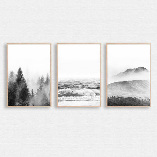 Scandinavian wall art of 3 nature prints.