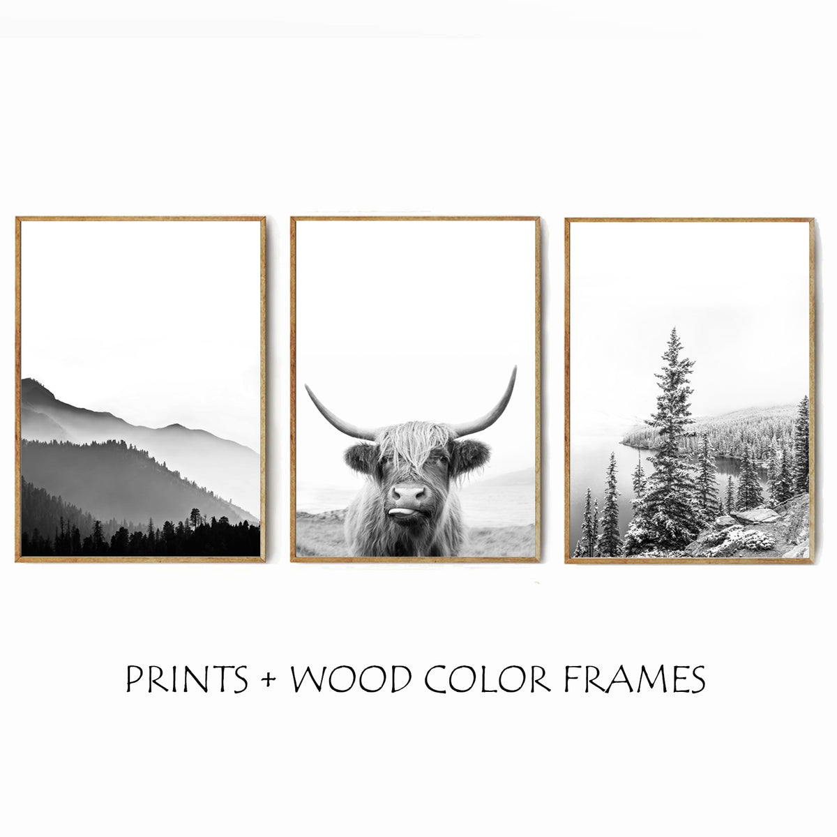 Framed wall art with cow.