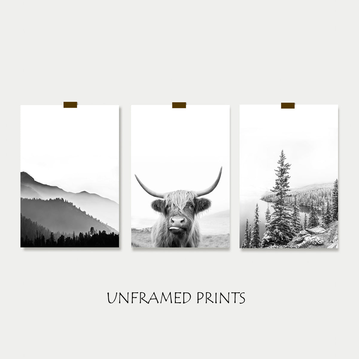 Unframed prints in roll with autumn landscapes.