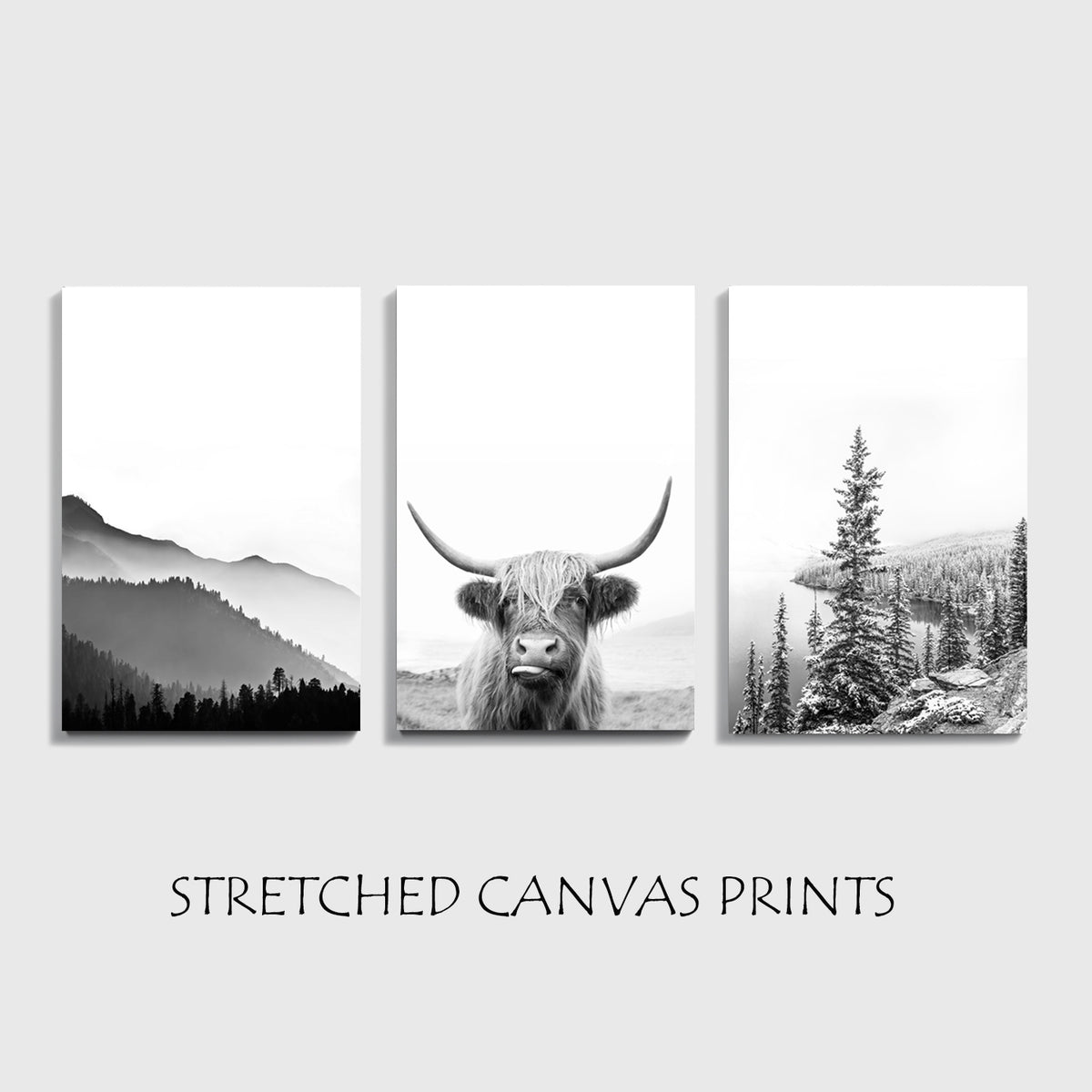Cow canvas print.