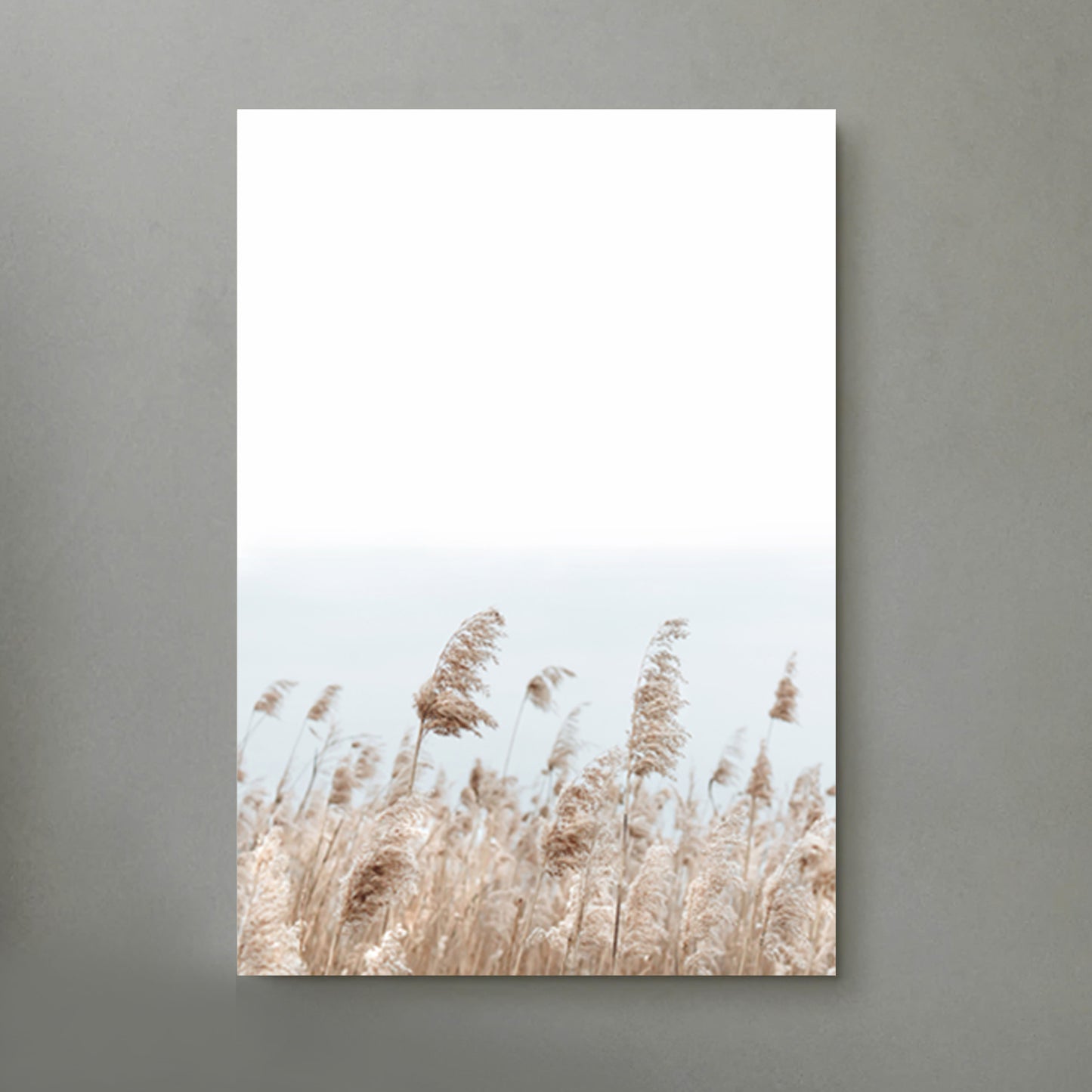 Pampa grass canvas wall art.