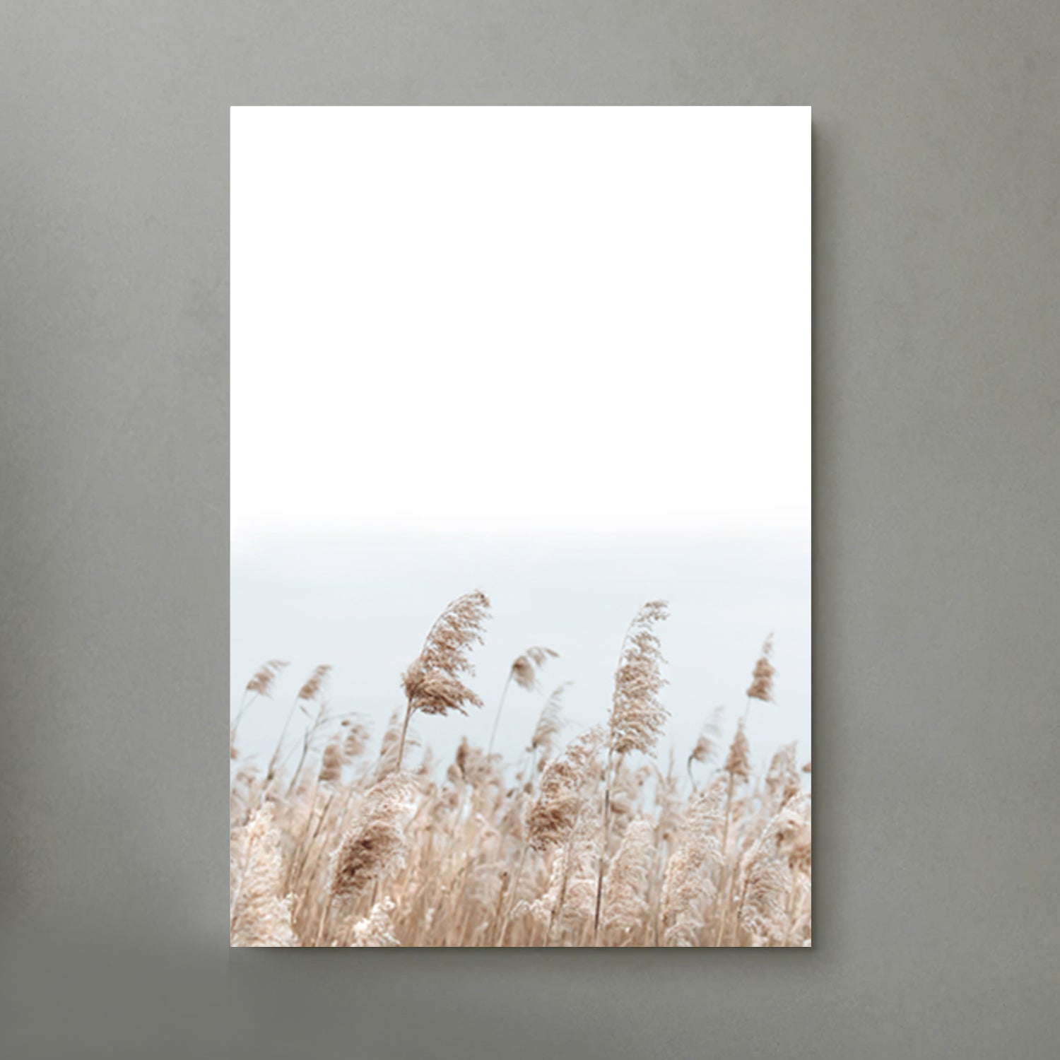 Pampa grass canvas wall art.