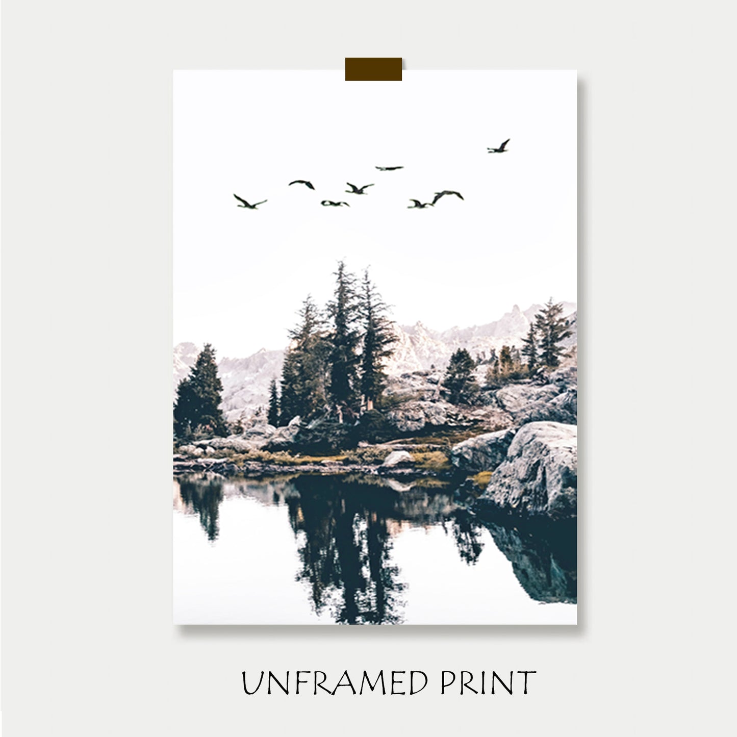 Birds unframed print.