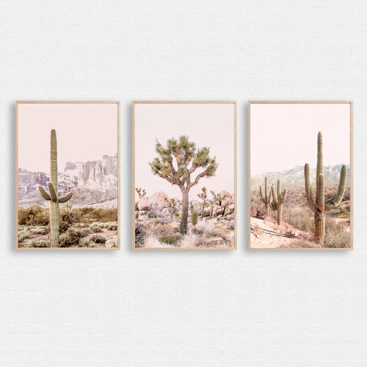 Desert landscape triptych with cacti and Joshua tree.